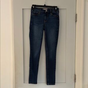 GAP 1969 25R True Skinny Women's Jeans